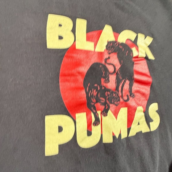 Black Pumas Band Sweatshirt M Gray Fleece Pullover Crewneck Music Tour Merch - Picture 4 of 6